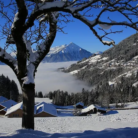 Swiss Lakeview 公寓 *