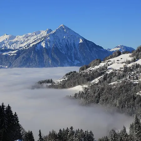 公寓 Swiss Lakeview 贝阿滕贝格