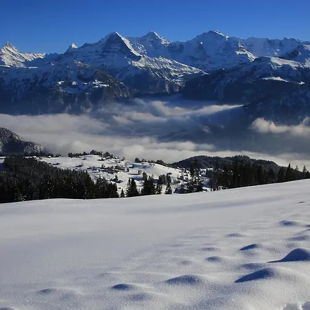 Swiss Lakeview 公寓 贝阿滕贝格