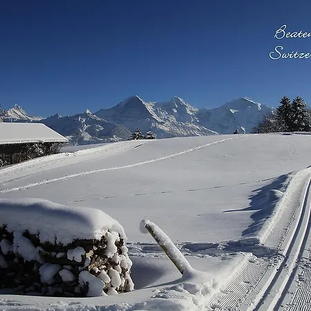 Swiss Lakeview