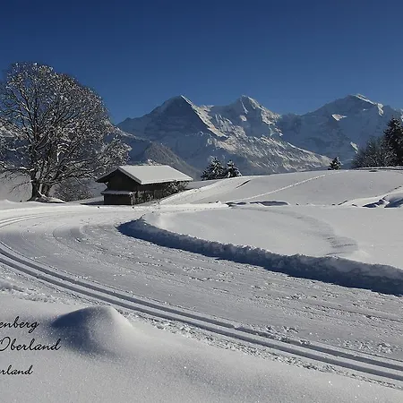 Swiss Lakeview 公寓 *
