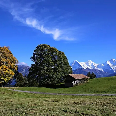 Swiss Lakeview 贝阿滕贝格