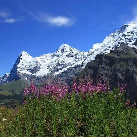 Swiss Lakeview