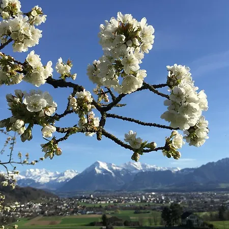 Swiss Lakeview 公寓 *