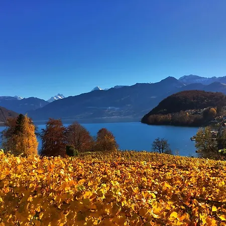 Swiss Lakeview 公寓 *