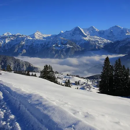Swiss Lakeview Appartement Beatenberg