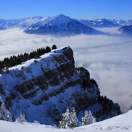 Swiss Lakeview