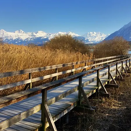 Swiss Lakeview