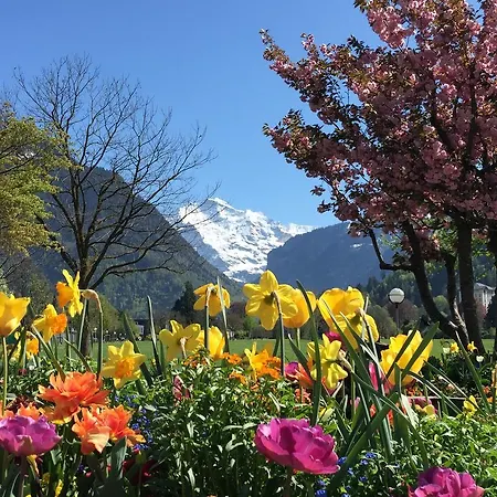 Swiss Lakeview Appartement