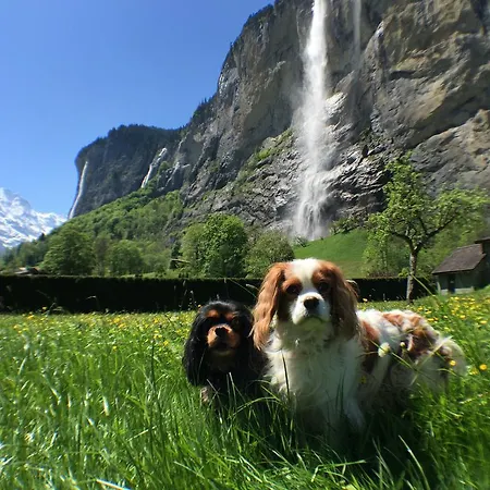 Swiss Lakeview Appartement *