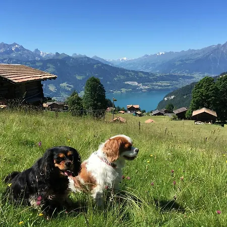 Swiss Lakeview * Beatenberg